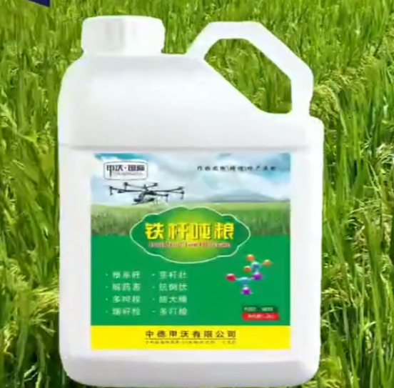 作物要增產(chǎn)選鐵桿噸糧