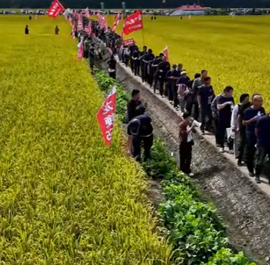 龍粳1823經(jīng)銷商分享現(xiàn)場(chǎng)